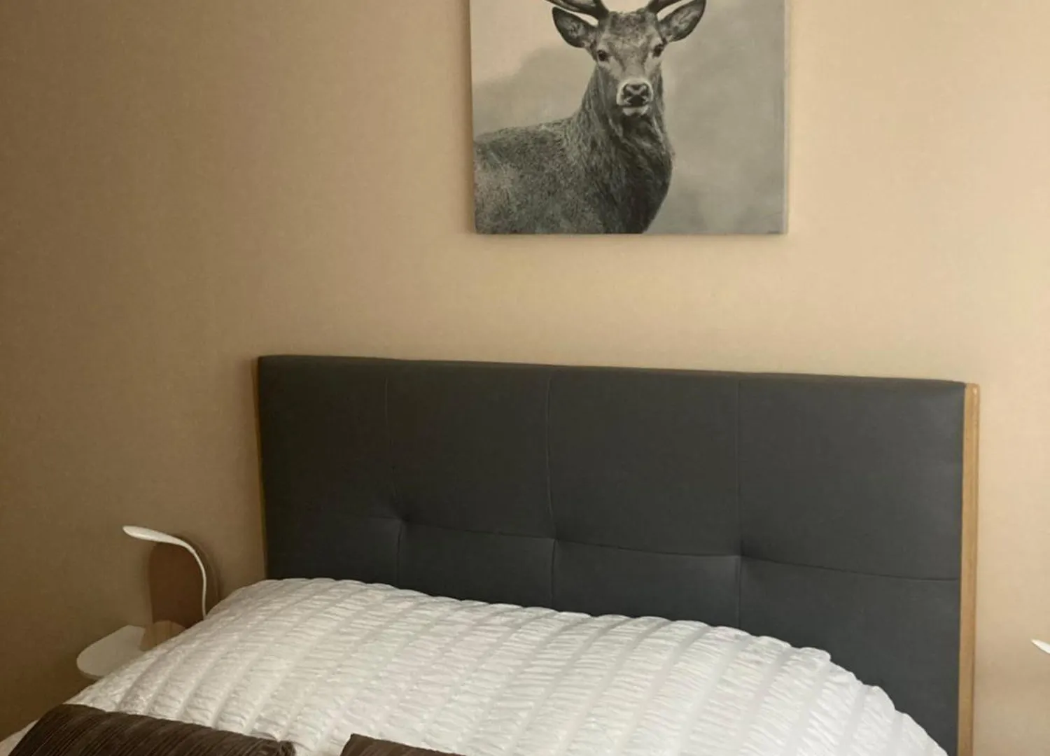 Les Balcons De L'Arbizon Apartment Guchen